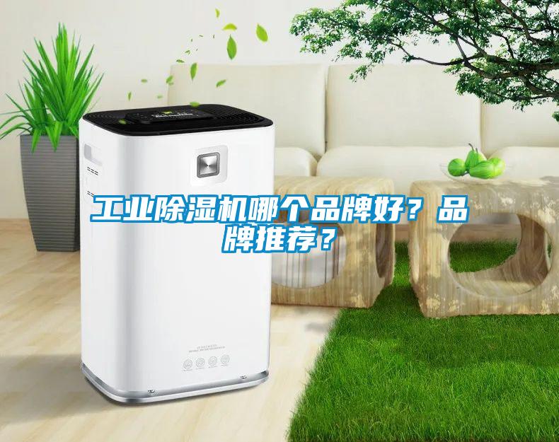 工業(yè)除濕機哪個品牌好？品牌推薦？