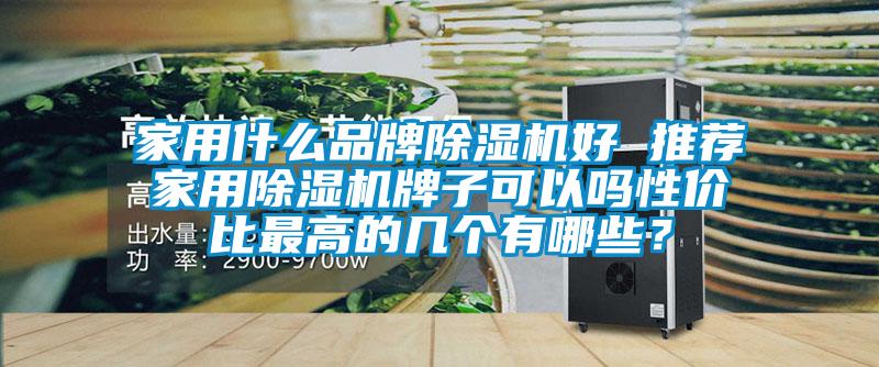 家用什么品牌除濕機好 推薦家用除濕機牌子可以嗎性價比最高的幾個有哪些？