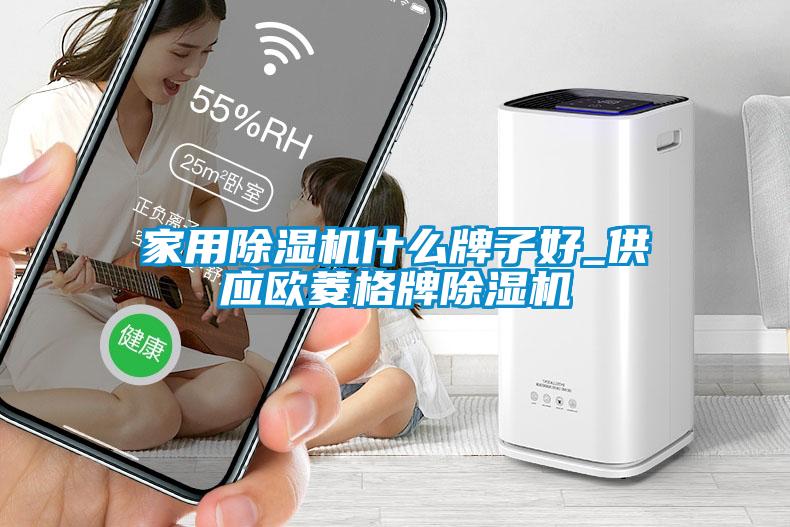 家用除濕機什么牌子好_供應(yīng)歐菱格牌除濕機