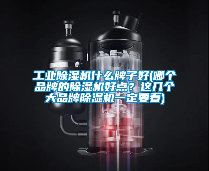 工業(yè)除濕機什么牌子好(哪個品牌的除濕機好點？這幾個大品牌除濕機一定要看)