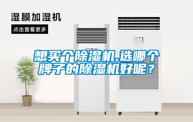 想買(mǎi)個(gè)除濕機(jī),選哪個(gè)牌子的除濕機(jī)好呢？