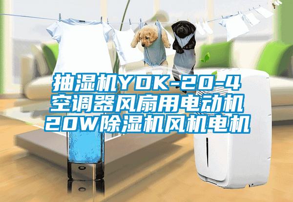 抽濕機(jī)YDK-20-4空調(diào)器風(fēng)扇用電動機(jī)20W除濕機(jī)風(fēng)機(jī)電機(jī)