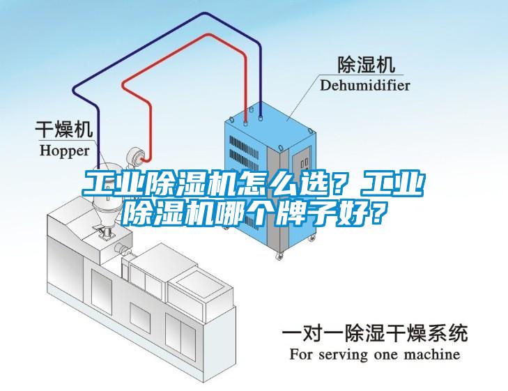 工業(yè)除濕機怎么選？工業(yè)除濕機哪個牌子好？