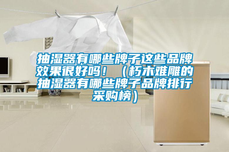 抽濕器有哪些牌子這些品牌效果很好嗎?。ㄐ嗄倦y雕的抽濕器有哪些牌子品牌排行采購榜）