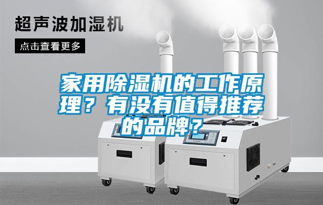 家用除濕機的工作原理？有沒有值得推薦的品牌？