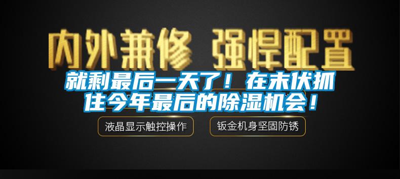 就剩最后一天了！在末伏抓住今年最后的除濕機會！