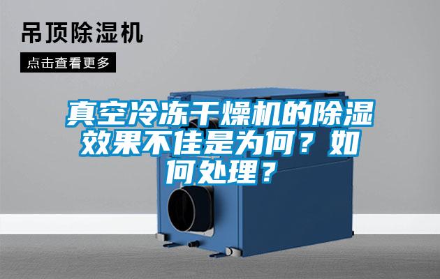 真空冷凍干燥機的除濕效果不佳是為何？如何處理？