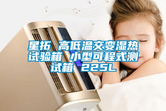 星拓 高低溫交變濕熱試驗(yàn)箱 小型可程式測試箱 225L