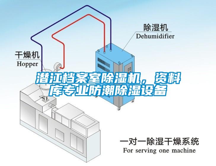 潛江檔案室除濕機，資料庫專業(yè)防潮除濕設備