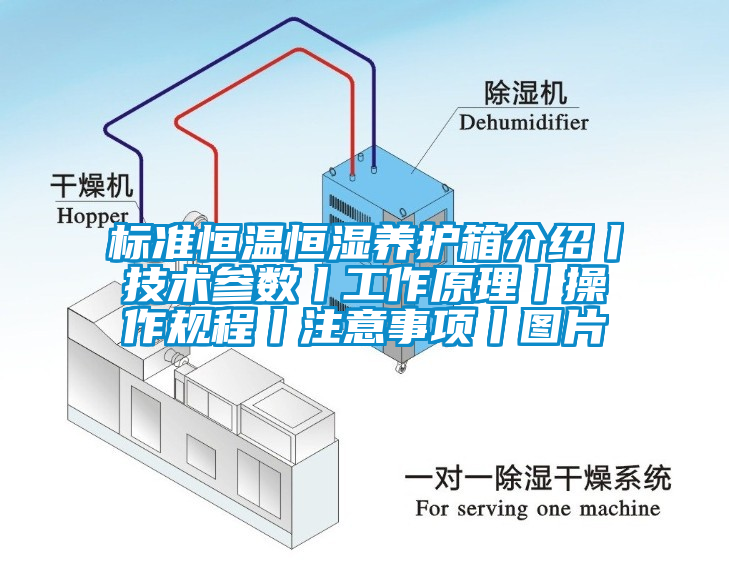 標準恒溫恒濕養(yǎng)護箱介紹丨技術參數丨工作原理丨操作規(guī)程丨注意事項丨圖片