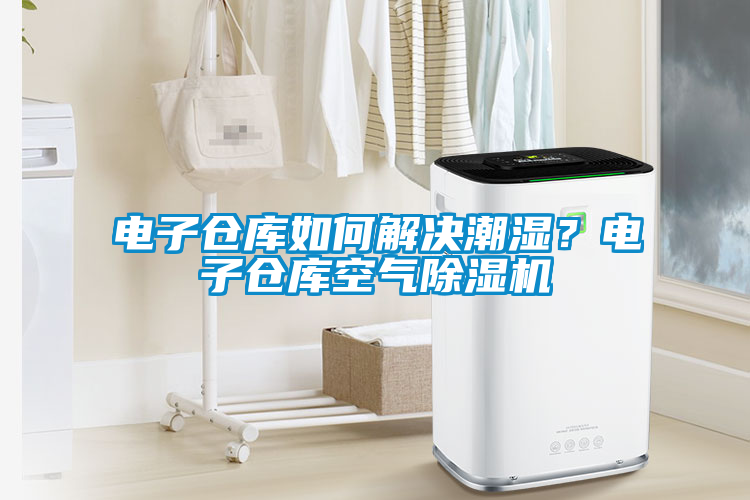 電子倉庫如何解決潮濕？電子倉庫空氣除濕機(jī)