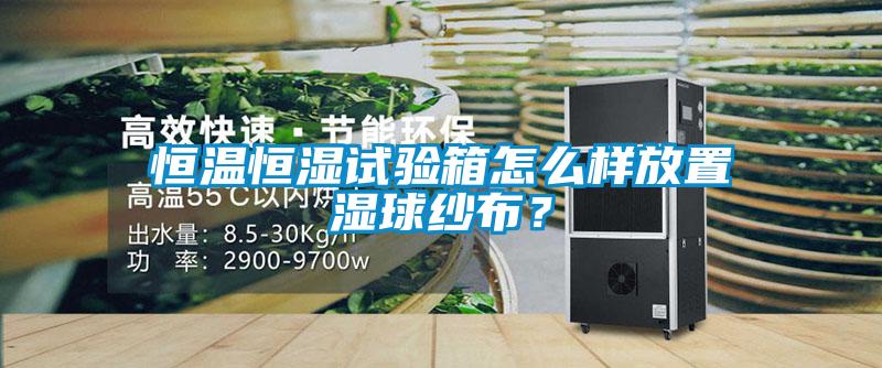 恒溫恒濕試驗箱怎么樣放置濕球紗布？