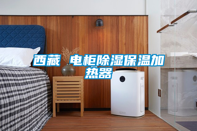 西藏 電柜除濕保溫加熱器