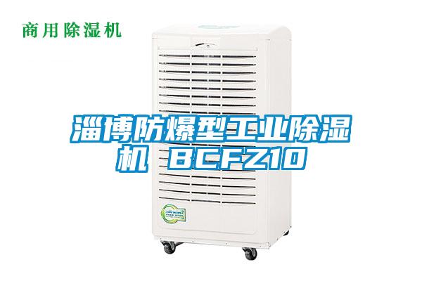 淄博防爆型工業(yè)除濕機 BCFZ10