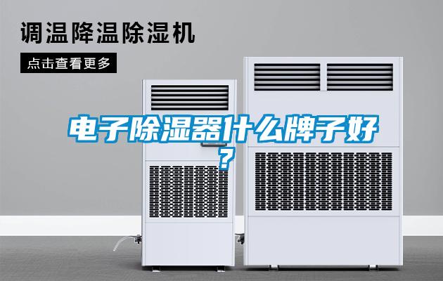 電子除濕器什么牌子好？