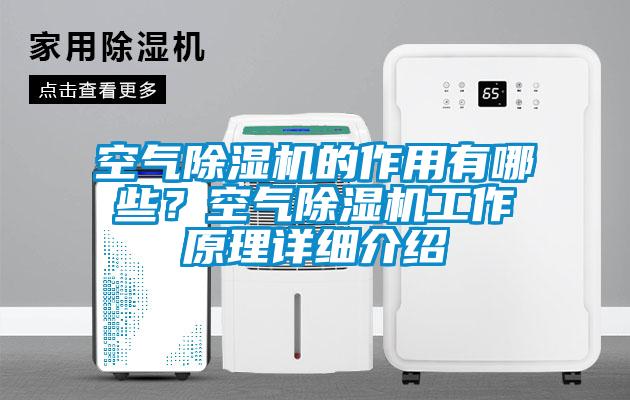 空氣除濕機的作用有哪些？空氣除濕機工作原理詳細介紹