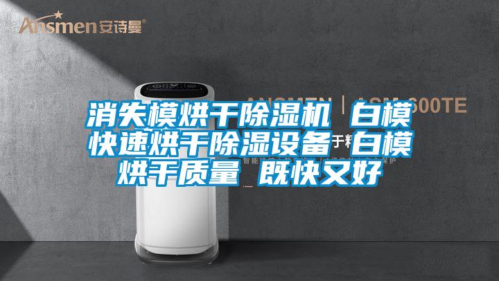 消失模烘干除濕機 白?？焖俸娓沙凉裨O備 白模烘干質量 既快又好