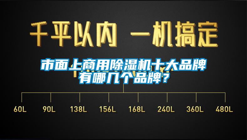 市面上商用除濕機十大品牌有哪幾個品牌？