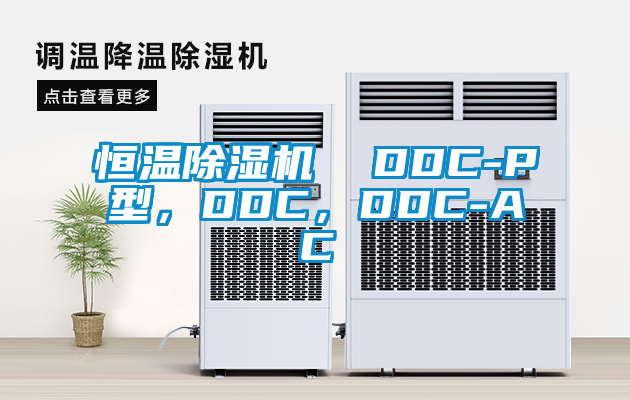 恒溫除濕機(jī)  DDC-P型，DDC，DDC-AC