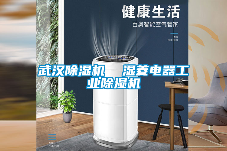 武漢除濕機  濕菱電器工業(yè)除濕機