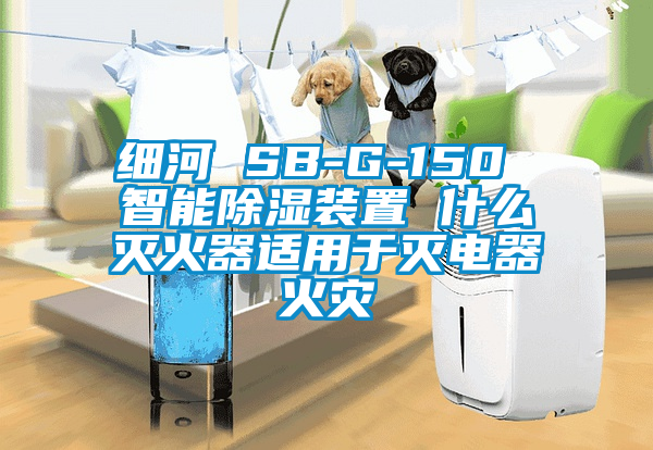 細(xì)河 SB-G-150 智能除濕裝置 什么滅火器適用于滅電器火災(zāi)