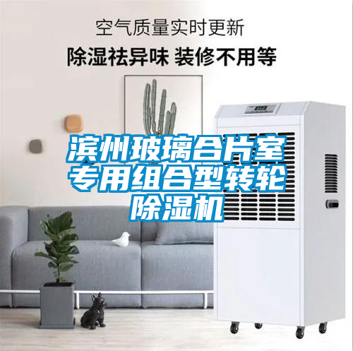 濱州玻璃合片室專用組合型轉(zhuǎn)輪除濕機