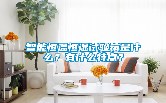 智能恒溫恒濕試驗箱是什么？有什么特點？