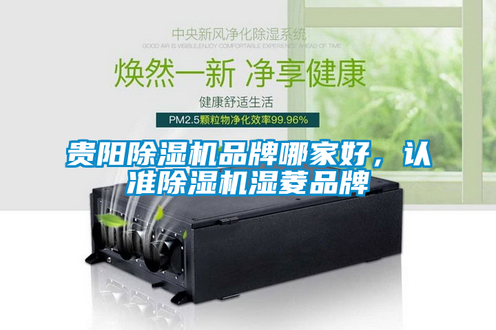 貴陽除濕機品牌哪家好，認準除濕機濕菱品牌