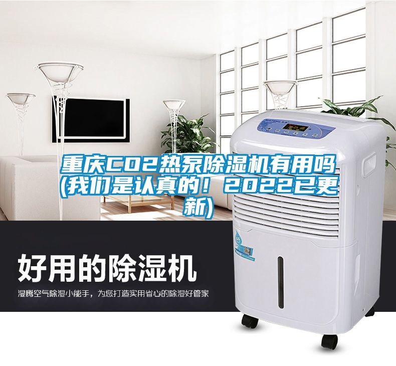 重慶CO2熱泵除濕機有用嗎(我們是認真的！2022已更新)