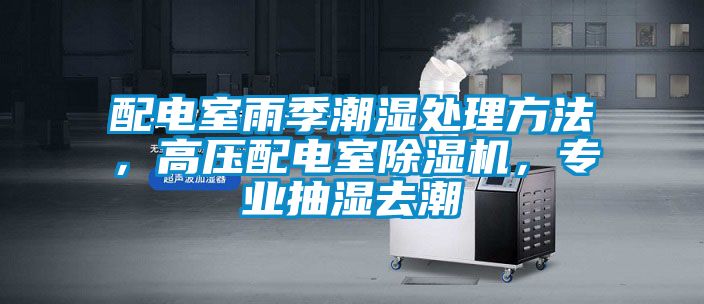 配電室雨季潮濕處理方法，高壓配電室除濕機(jī)，專業(yè)抽濕去潮