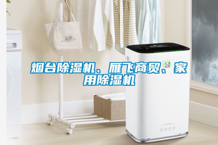 煙臺除濕機、雁飛商貿(mào)、家用除濕機