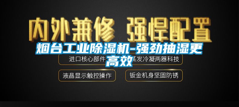 煙臺工業(yè)除濕機-強勁抽濕更高效