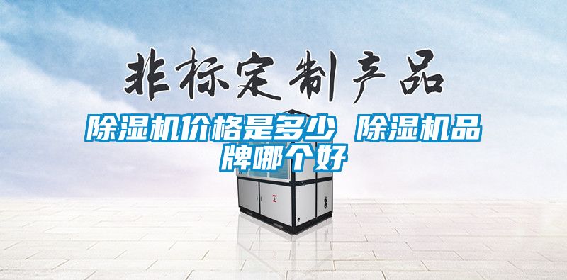 除濕機價格是多少 除濕機品牌哪個好