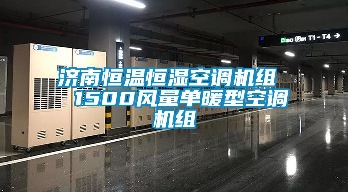 濟南恒溫恒濕空調(diào)機組  1500風(fēng)量單暖型空調(diào)機組