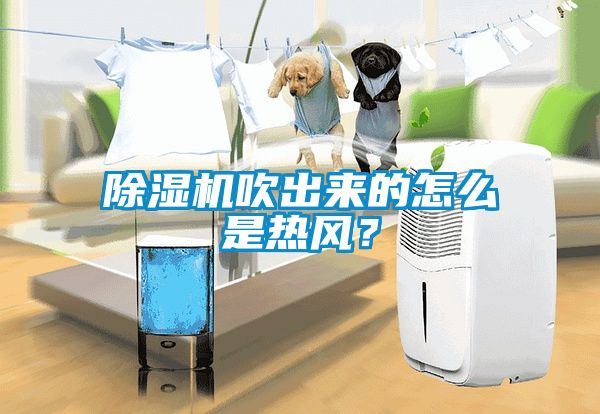 除濕機(jī)吹出來(lái)的怎么是熱風(fēng)？