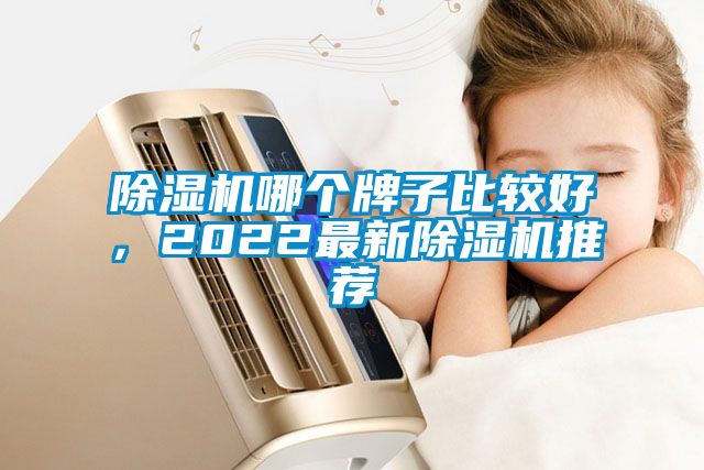 除濕機哪個牌子比較好，2022最新除濕機推薦