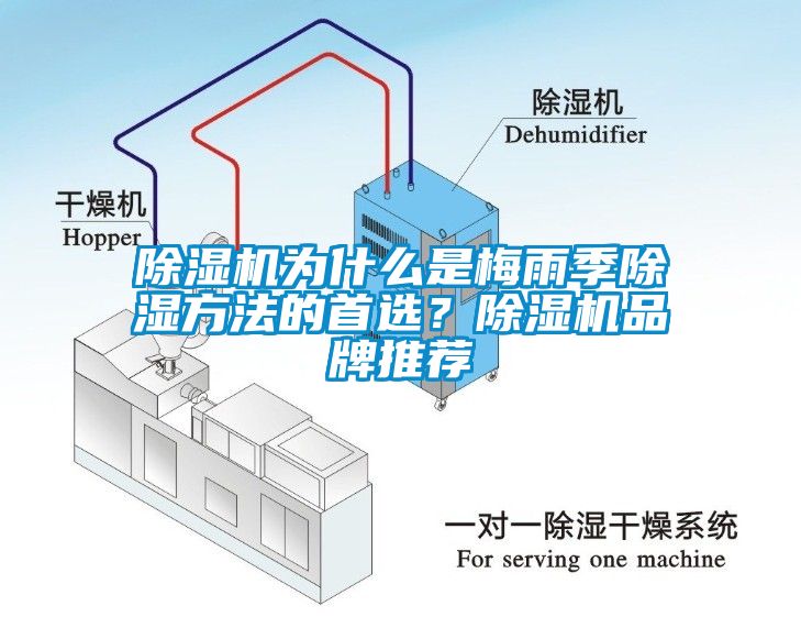 除濕機為什么是梅雨季除濕方法的首選？除濕機品牌推薦