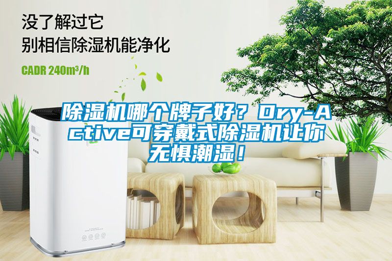 除濕機哪個牌子好？Dry-Active可穿戴式除濕機讓你無懼潮濕！