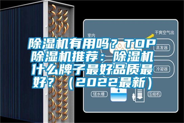 除濕機有用嗎？TOP除濕機推薦：除濕機什么牌子最好品質最好？（2022最新）