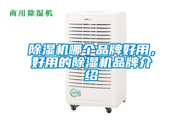 除濕機(jī)哪個(gè)品牌好用，好用的除濕機(jī)品牌介紹