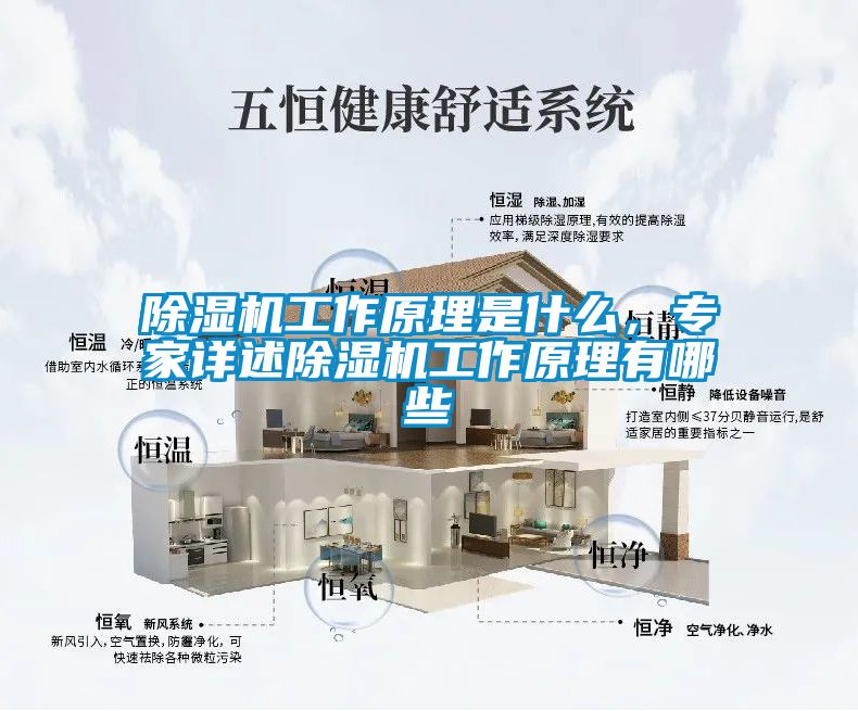 除濕機工作原理是什么，專家詳述除濕機工作原理有哪些