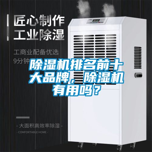 除濕機排名前十大品牌，除濕機有用嗎？