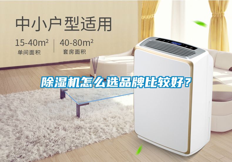 除濕機怎么選品牌比較好？