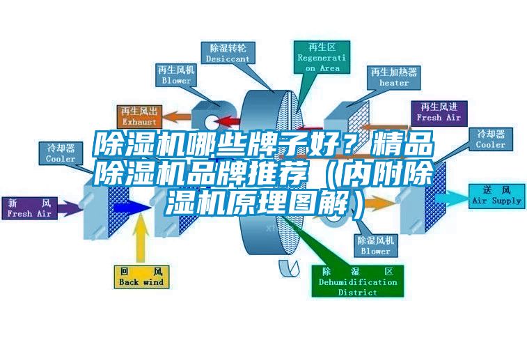 除濕機(jī)哪些牌子好？精品除濕機(jī)品牌推薦（內(nèi)附除濕機(jī)原理圖解）