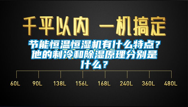 節(jié)能恒溫恒濕機(jī)有什么特點(diǎn)？他的制冷和除濕原理分別是什么？