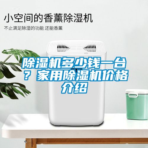 除濕機(jī)多少錢一臺(tái)？家用除濕機(jī)價(jià)格介紹