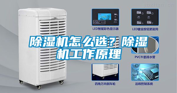 除濕機怎么選？除濕機工作原理