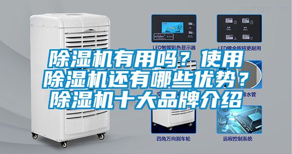 除濕機(jī)有用嗎？使用除濕機(jī)還有哪些優(yōu)勢？除濕機(jī)十大品牌介紹