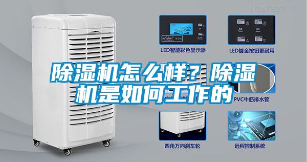 除濕機怎么樣？除濕機是如何工作的