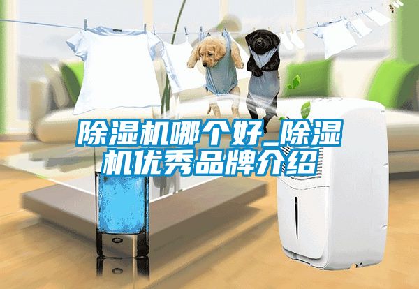 除濕機(jī)哪個(gè)好_除濕機(jī)優(yōu)秀品牌介紹